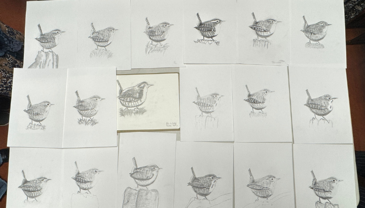 Retour sur la soirée dessin